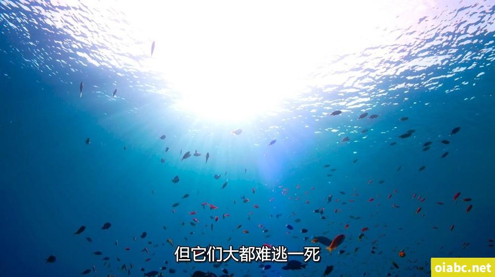 日本强伦片中文字幕免费看剧照3